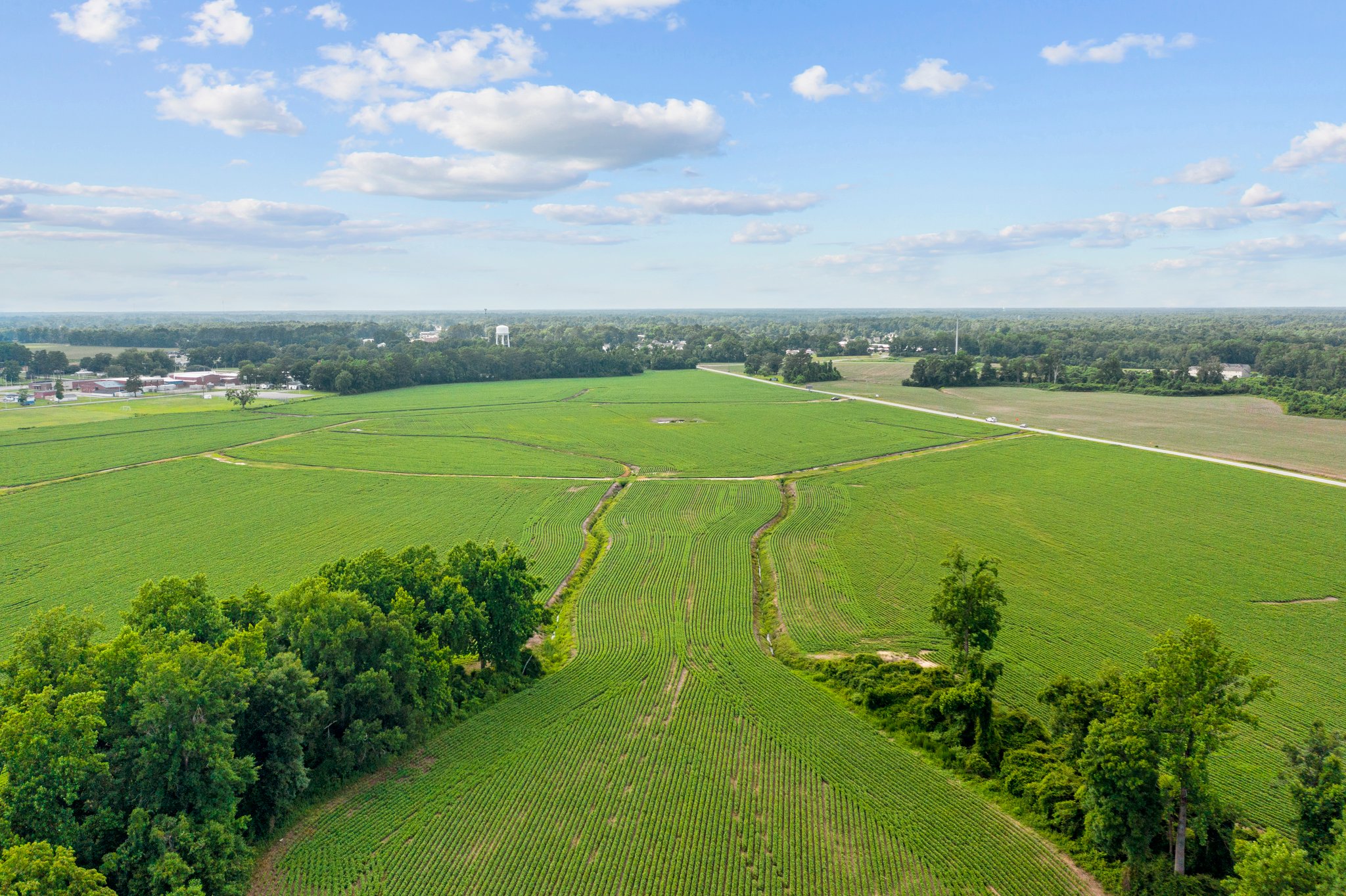 View of Property from tract south of Gumbranch